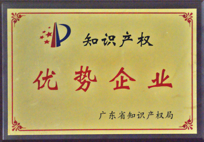2017.02.09.廣東省知識(shí)產(chǎn)權(quán)優(yōu)勢(shì)企業(yè)